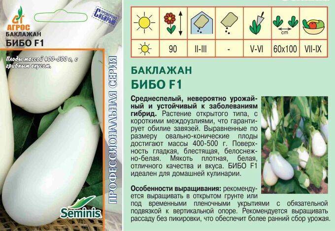 Баклажан бибо f1: отзывы, фото, выращивание, посадка и уход, урожайность сорта, описание и характеристика гибрида с белыми плодами