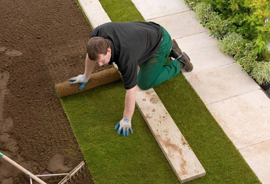 Укладка искусственного газона: как правильно уложить на землю своими руками, технология укладки травы на футбольном поле, подготовка основания