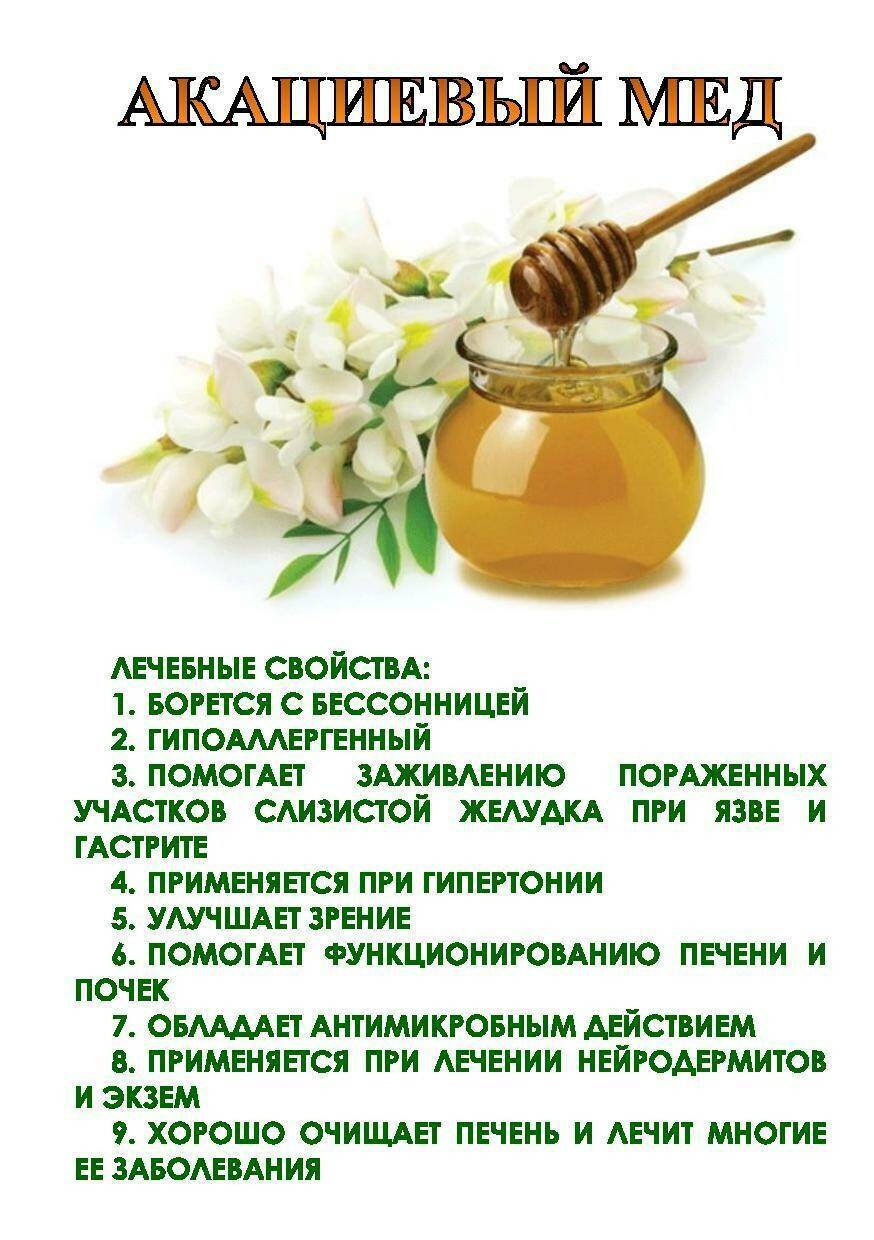 Акациевый мед полезные свойства и противопоказания