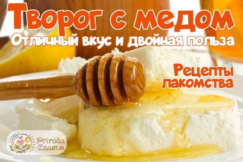 Польза и вред творога с медом, как правильно кушать? | parnas42.ru