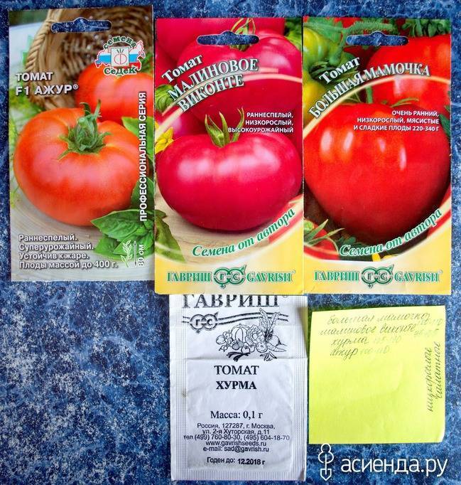 Сорт (гибрид) томата «бенито f1»: описание, характеристика, посев на рассаду, подкормка, урожайность, фото, видео и самые распространенные болезни томатов