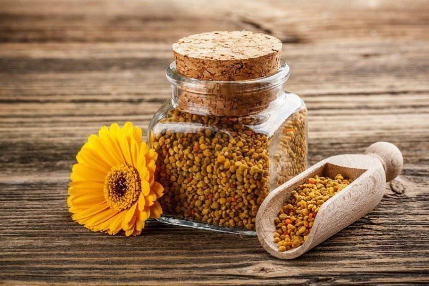 Мед с пыльцой: полезные свойства, противопоказания и рецепты применения