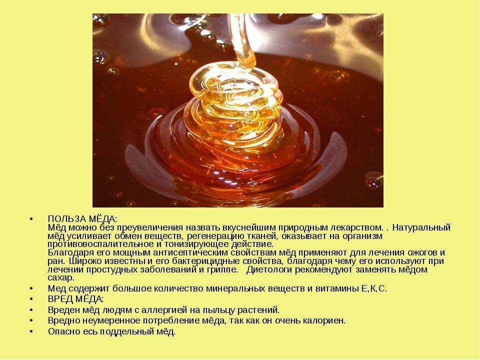 Гречишный мед: польза и вред, как определить натуральность