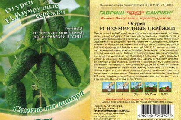 Огурец феникс: характеристики и описание сорта. особенности посадки, выращивания и ухода за огурцами (95 фото и видео)
