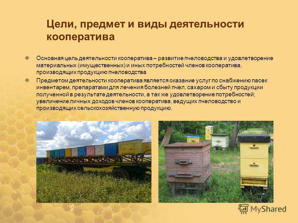 Особенности развития пчеловодства в белоруссии, проблемы белорусского пчеловода