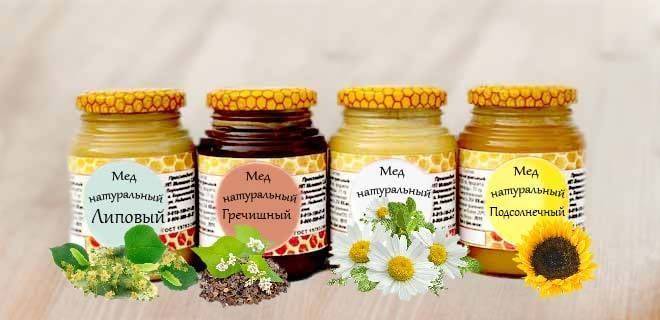 Монофлёрный мёд: что это такое, описание и характеристика, польза и вред, правила употребления