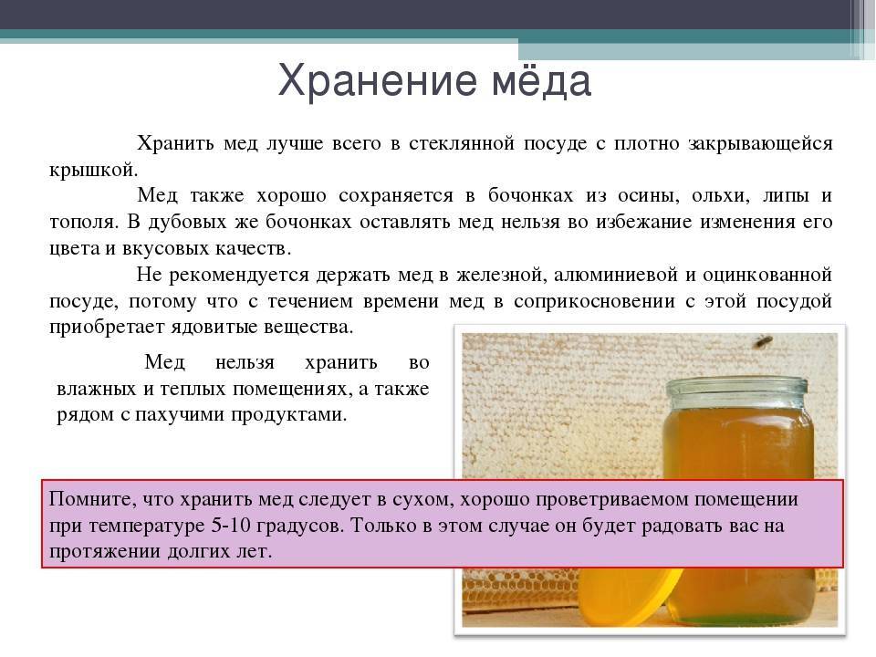 Как хранить мед? хранение меда в домашних условиях :: syl.ru