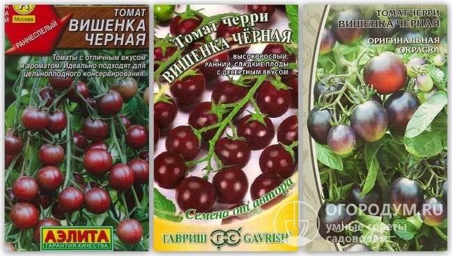 Выращивание помидор черри: полезные свойства томата, способы, выбор сорта, уход и сбор урожая