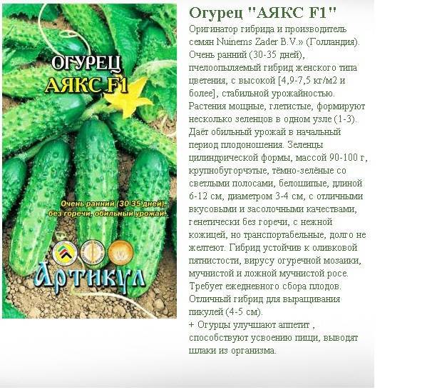 Огурец аякс f1: описание сорта, фото, отзывы, урожайность
