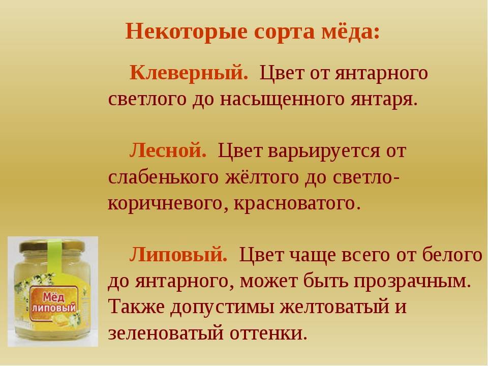 Клеверный мед: полезные свойства, противопоказания, состав
