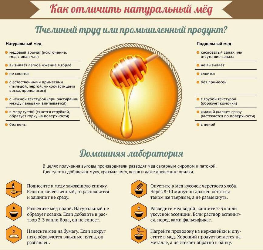 5 способов как проверить мед на натуральность | блог comfy