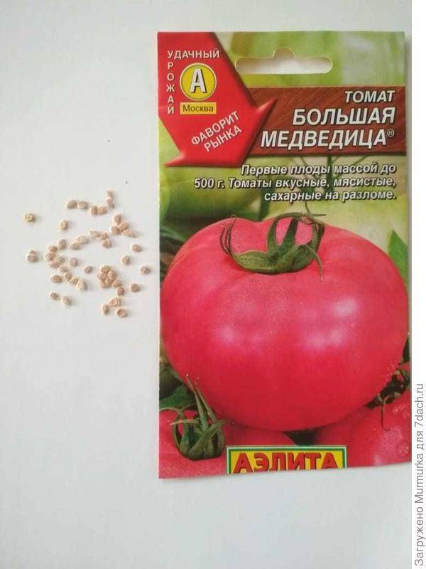 Крупные сорта помидоров – сладкие, лучшие????, топ-12, для открытого грунта, теплиц, фото и названия с описанием