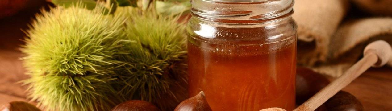 Кладезь здоровья — каштановый мед. полезные свойства и противопоказания, рецепты красоты с использованием меда
