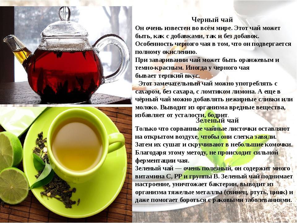 Какой чай полезнее - зеленый или черный? сравнительная характеристика зеленого и черного чая