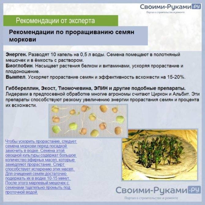 Как правильно замочить семена огурцов к посадке — selok.info