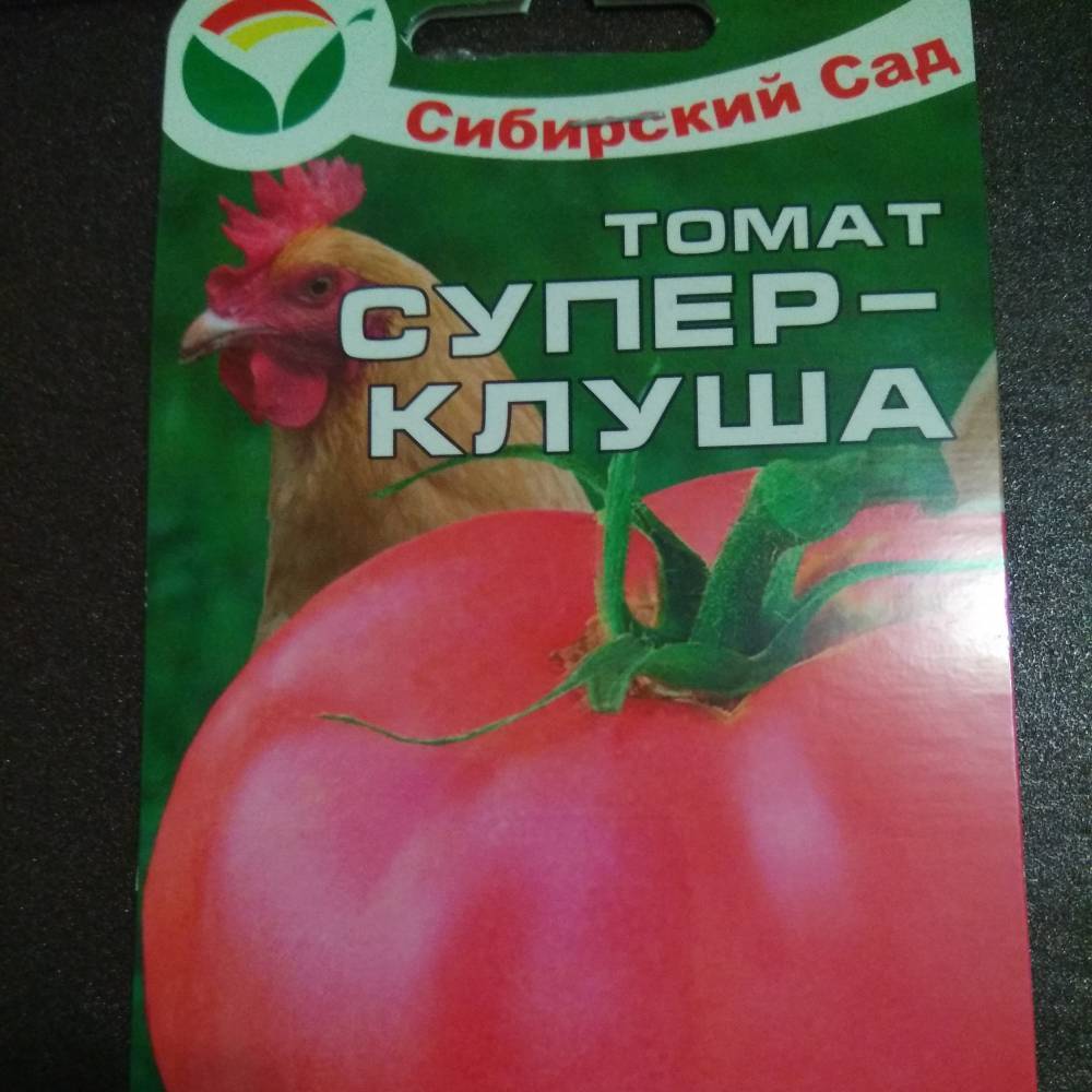 Клуша томат: характеристика и описание сорта помидоров, посадка и уход, урожайность