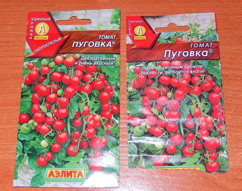 Томат пуговка: описание сорта, отзывы, фото, урожайность | tomatland.ru