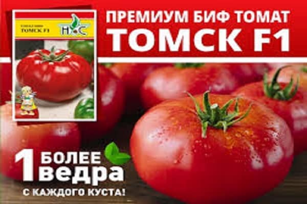 Можно ли брать семена от гибридов томатов. что означает f1 в названии сорта? можно ли получить семена от гибридов помидор