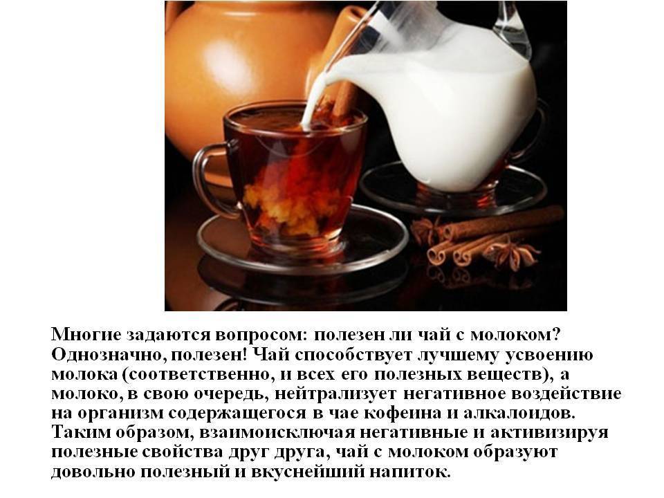 Чем полезен чай с молоком?
