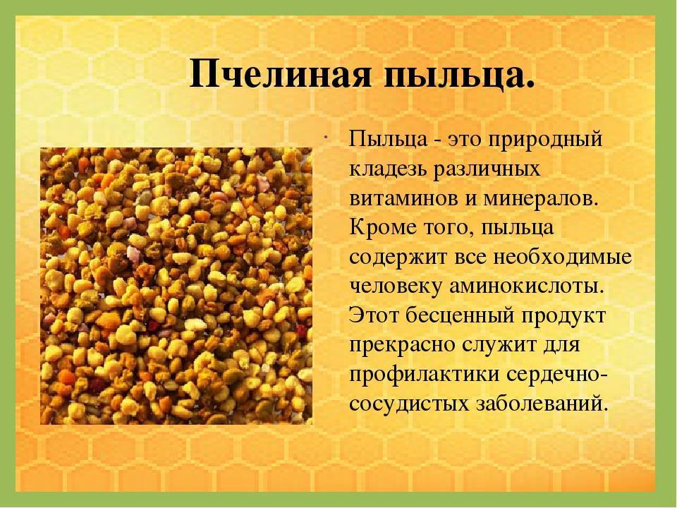 Полезные свойства пчелиной пыльцы и способы применения