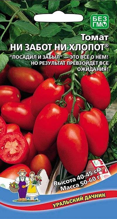 ᐉ томат ни забот ни хлопот отзывы фото - zooshop-76.ru