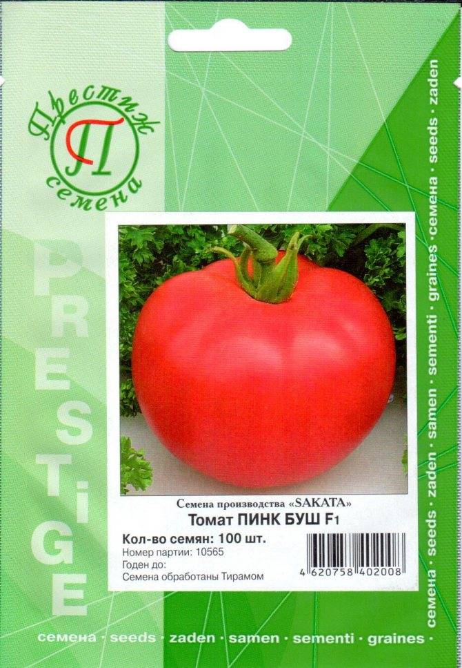 Томат пинк импрешн (f1): розовый гибрид и его преимущества, описание и характеристика, инструкция по выращиванию