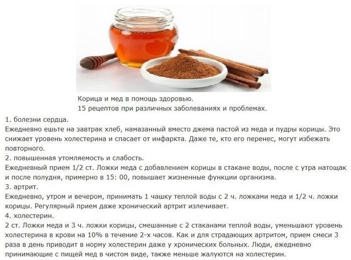 Что нужно знать о полезных свойствах корицы с медом и в чем польза