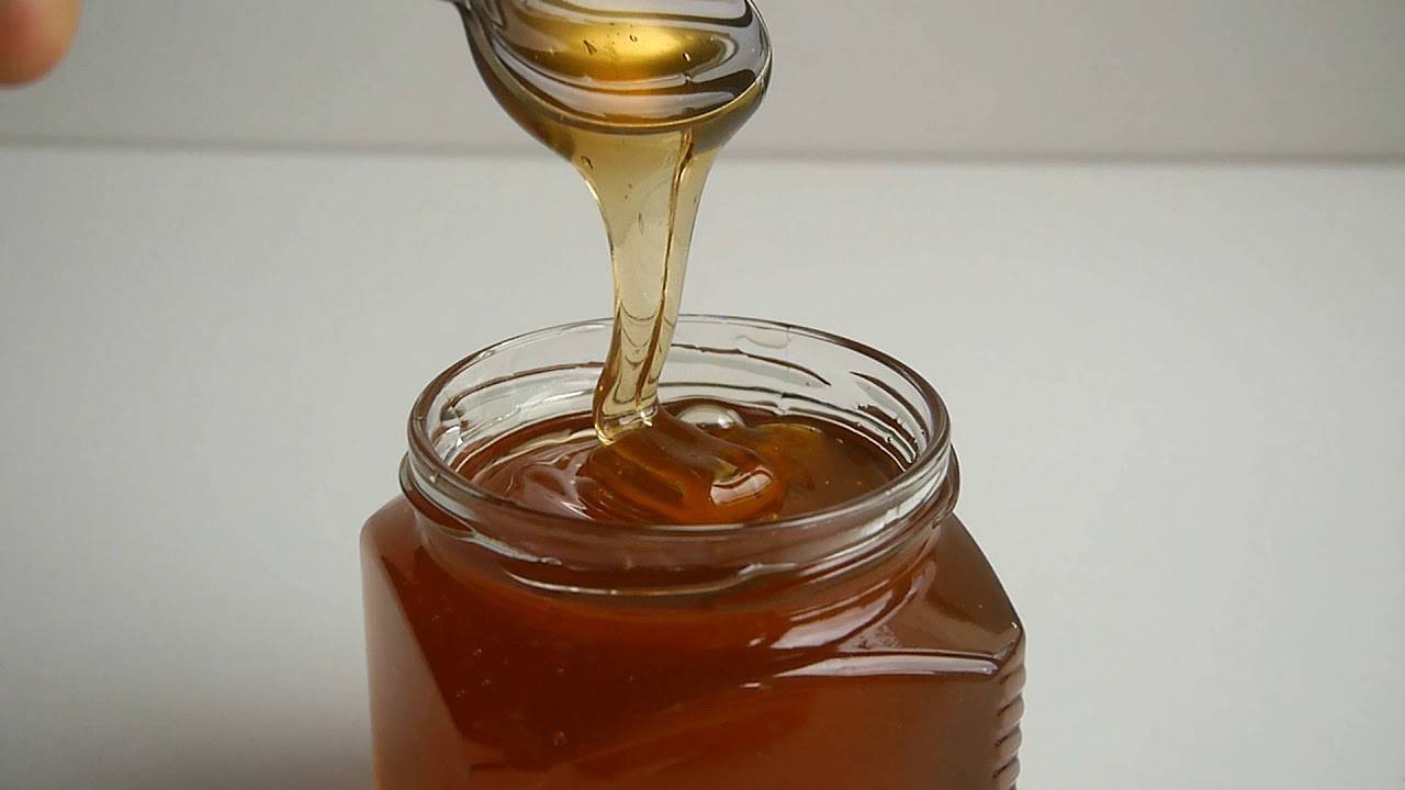 Кориандровый мед: полезные свойства, вред, применение