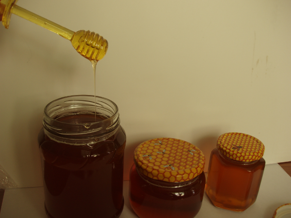 Кориандровый мед: полезные свойства и противопоказания меда из кинзы