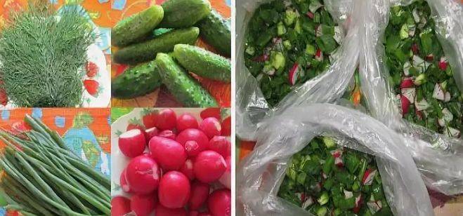 Можно ли заморозить редис на зиму, как подготовить овощ и хранить в холодильнике и подвале, а также перечень позднеспелых сортов