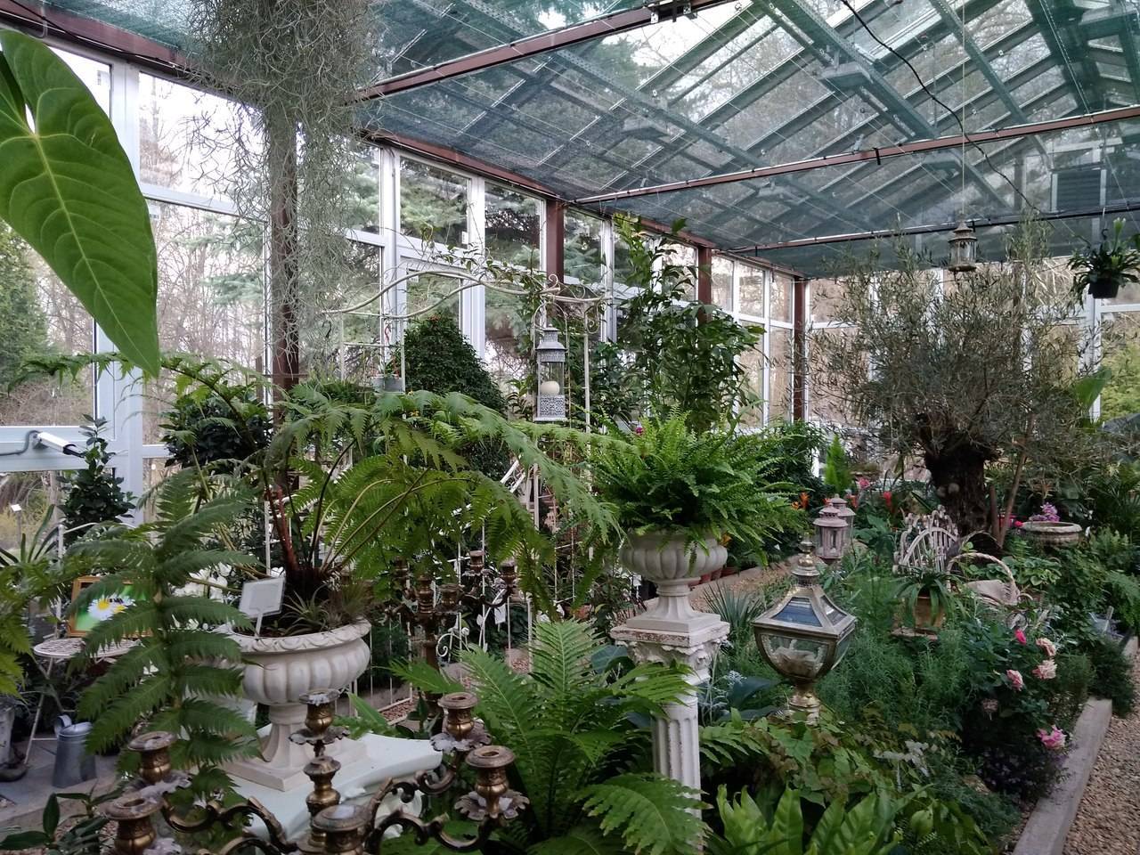 Ботанический сад — главный дендрарий краснодара