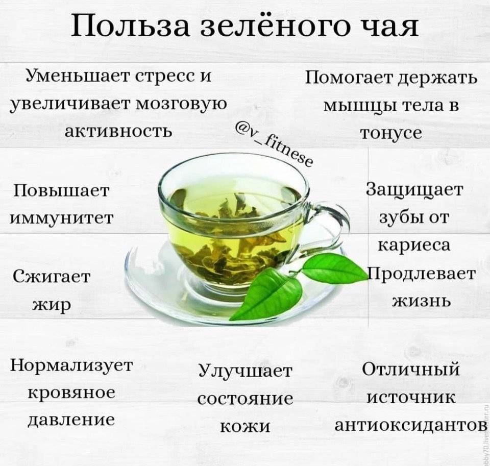 Зеленый чай полезнее черного? - форма