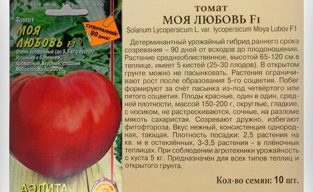 Как ухаживать за гибридным томатом «паленка» для лучшего урожая