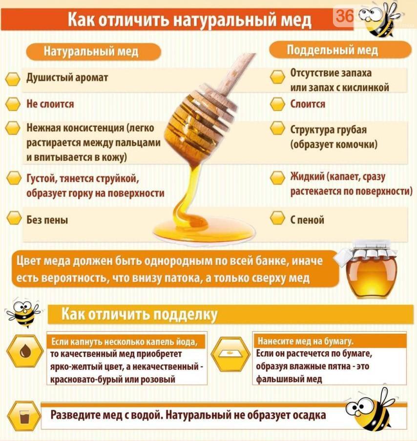 Как выбрать качественный мед при покупке