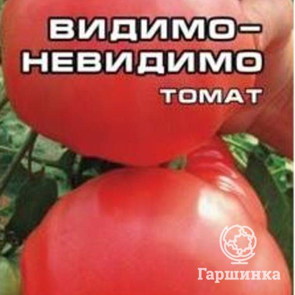 Описание сорта томата видимо-невидимо, особенности выращивания и ухода