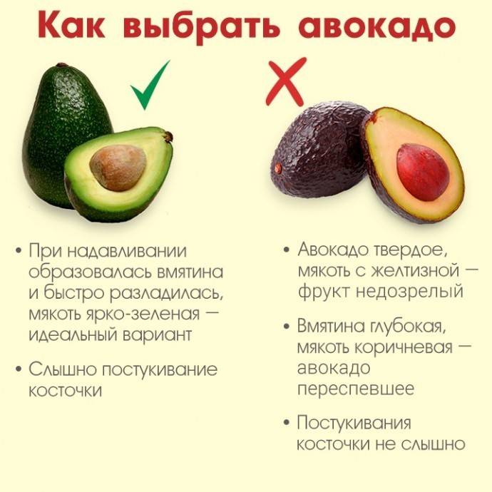 Полезные свойства авокадо для организма и как его употреблять: польза и вред, калорийность