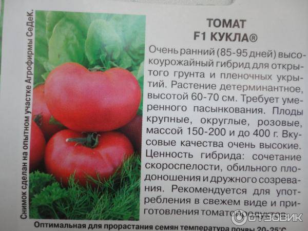 Описание сорта томата рябчик, его характеристика и выращивание ⋆ дачные дела
