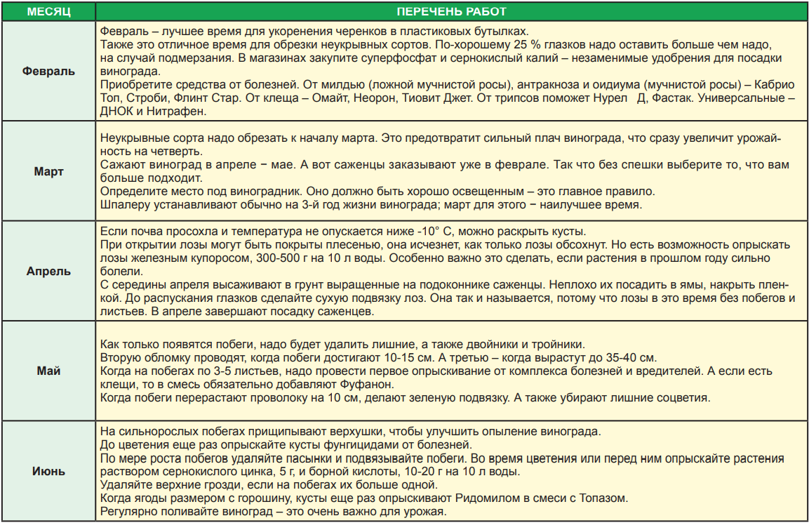 Схема подкормки винограда таблица