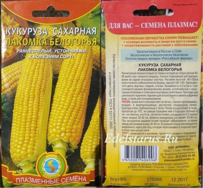 Сахарная кукуруза ?: характеристика, описание сорта, фото, посадка и уход | qlumba.com