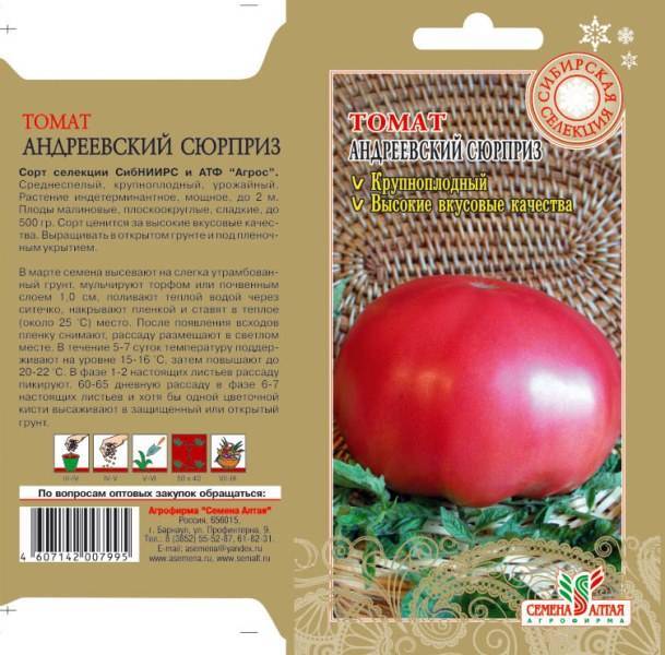 Сибирский скороспелый томат: характеристика сорта, описание растения и особенности выращивания