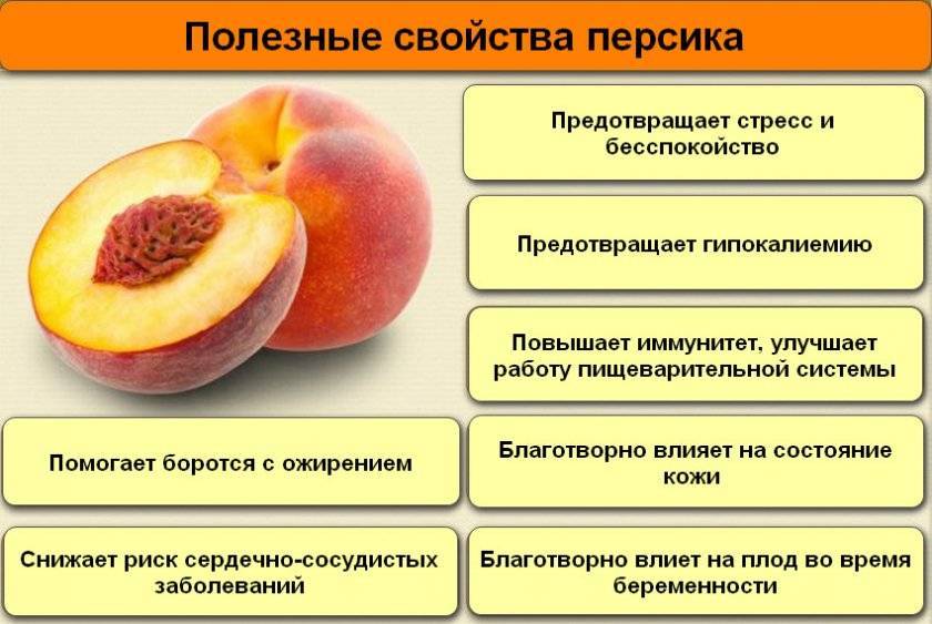 Персики: польза и вред для здоровья женщин и мужчин