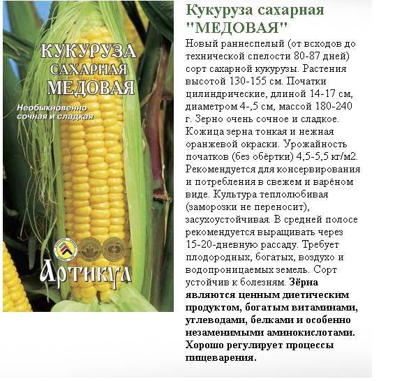 Сорта кукурузы: описание сладких сортов, для попкорна, цветные