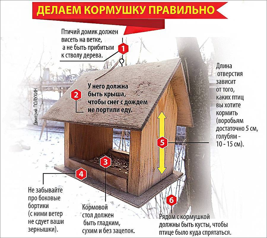 Проект по технологии 6 класс для мальчиков кормушка для птиц с расчетами