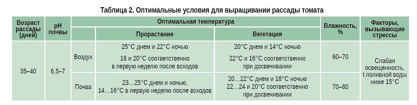 Подмерзла рассада огурцов: что делать, какую температуру выдерживает, как уберечь