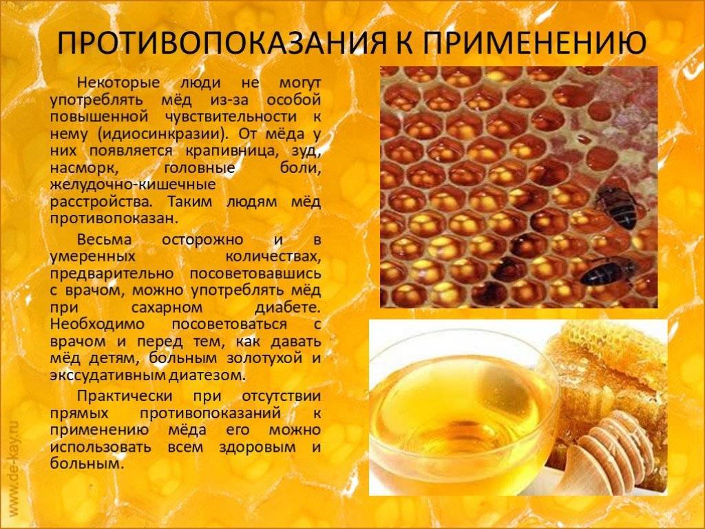 Мед с пергой, как средство от всех недугов