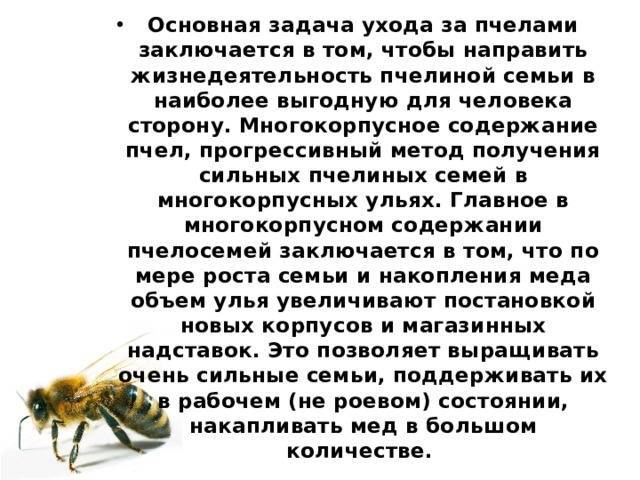 Правила содержания пчел