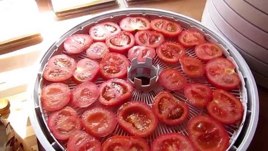Рецепт вяленых помидоров в домашних условиях