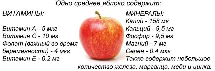 Полезные свойства яблок: содержание витаминов и их влияние на организм