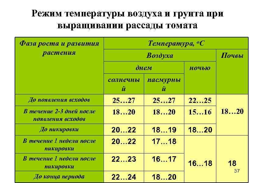 При какой температуре держать рассаду. Какой температурный режим для рассады огурцов и помидоров. Температурный режим для рассады томатов в теплице. Оптимальная температура почвы для рассады томатов и перцев. Выращивание рассады томатов температурный режим.