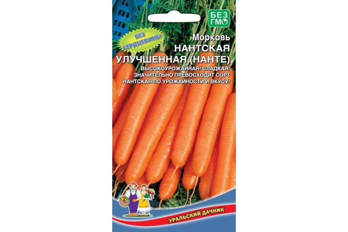 Топ лучших сортов моркови с фото и описанием